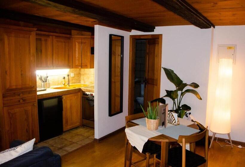 استودیوی لوکس, Many S Historical City Central Apartments
