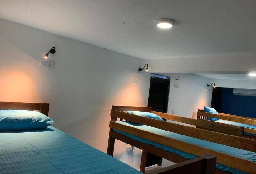 מיטה בחדר משותף, Paradise View Hostel