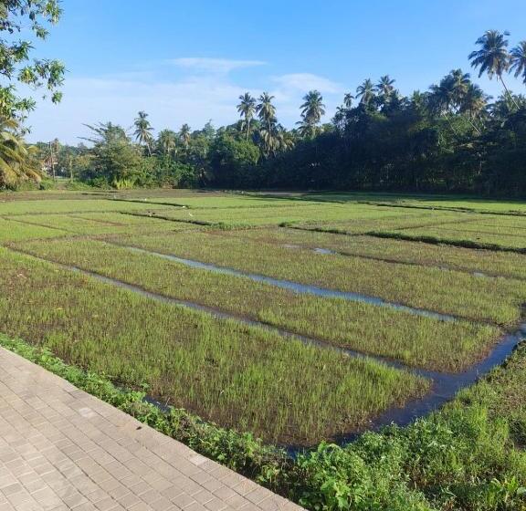 Quarto Estandar, The Villa Green Grand