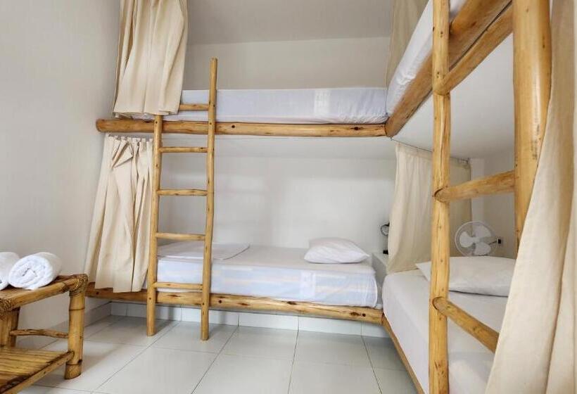 מיטה בחדר משותף, Kinti Guest House