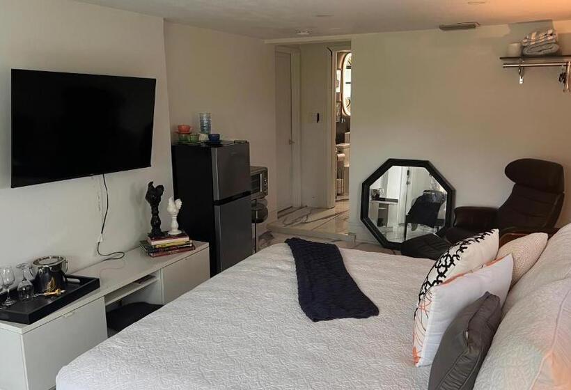 חדר דחוקס עם מיטת קינג, Paradise Gardens Wilton Manors  Male Only