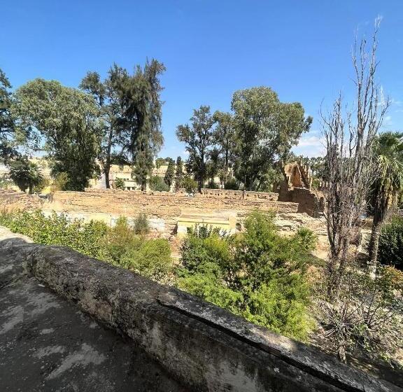 اتاق اکونومی, Hôtel Du Parc