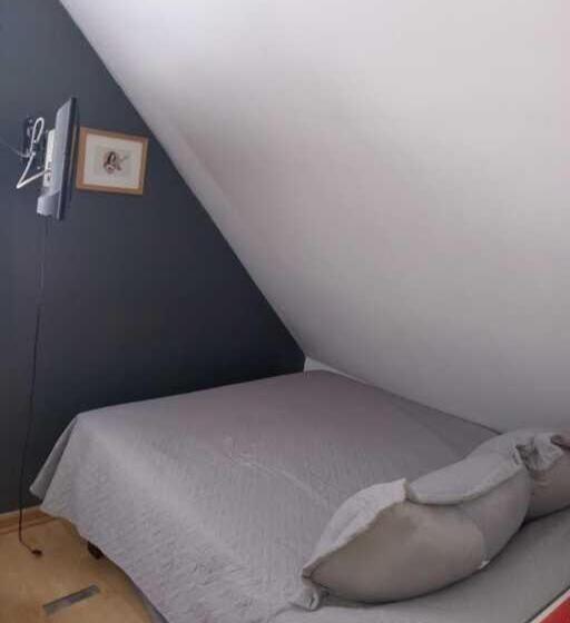اتاق سوپریور یک تخته, Hostal Salvador