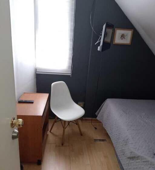 اتاق سوپریور یک تخته, Hostal Salvador