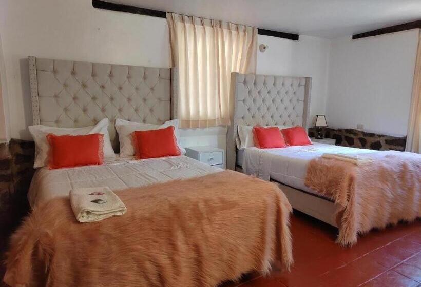 اتاق استاندارد با 2 تخت دوبل, Casablanca