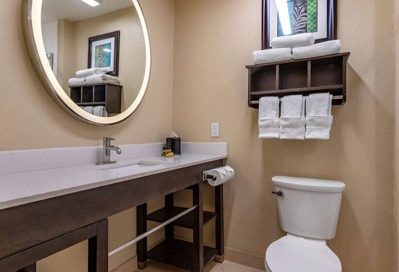 סוויטה נוף לים, Best Western Plus Galveston Suites
