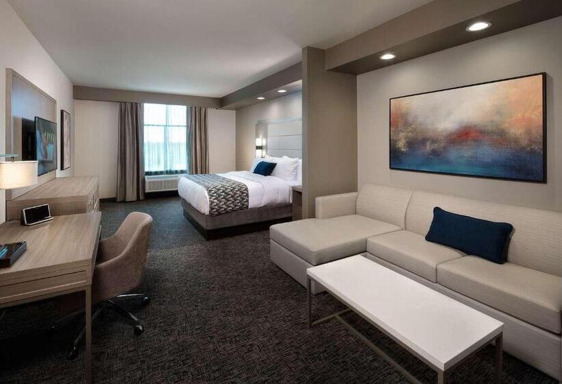 Люкс Кровать Кинг, Wyndham Garden Katy Energy Corridor