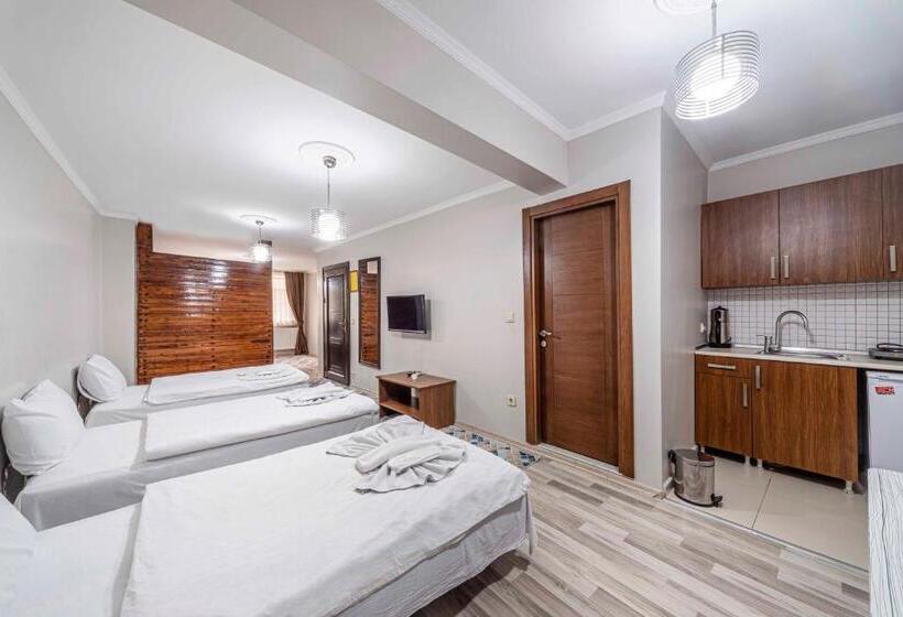 اتاق خانوادگی, City Hall Apart Hotel Sultanahmet