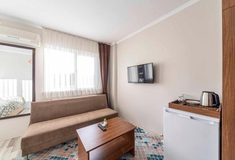 اتاق استاندارد, City Hall Apart Hotel Sultanahmet