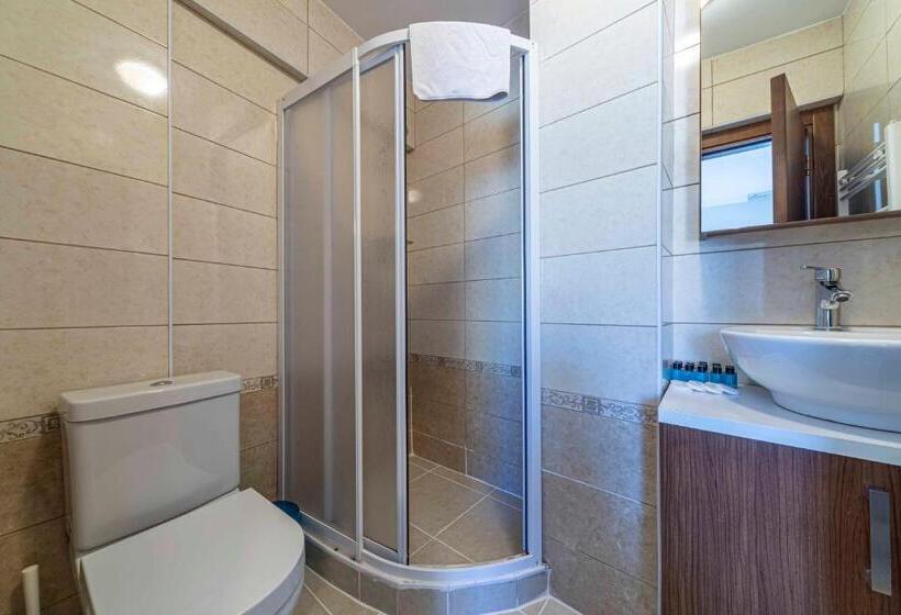 اتاق استاندارد, City Hall Apart Hotel Sultanahmet