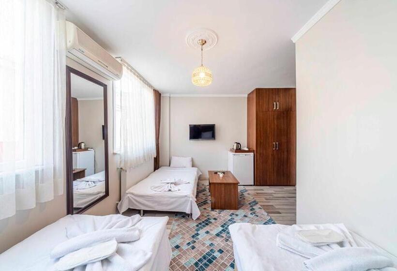 اتاق استاندارد, City Hall Apart Hotel Sultanahmet