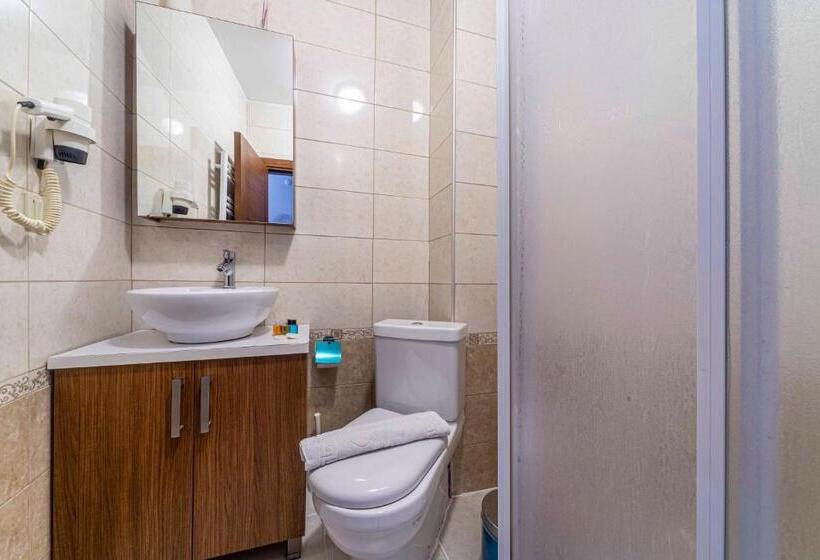 اتاق استاندارد, City Hall Apart Hotel Sultanahmet