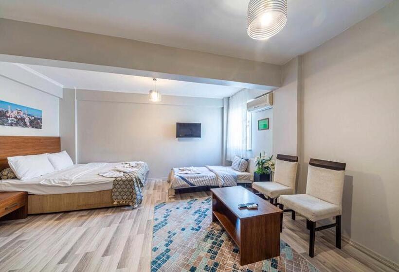 اتاق استاندارد, City Hall Apart Hotel Sultanahmet