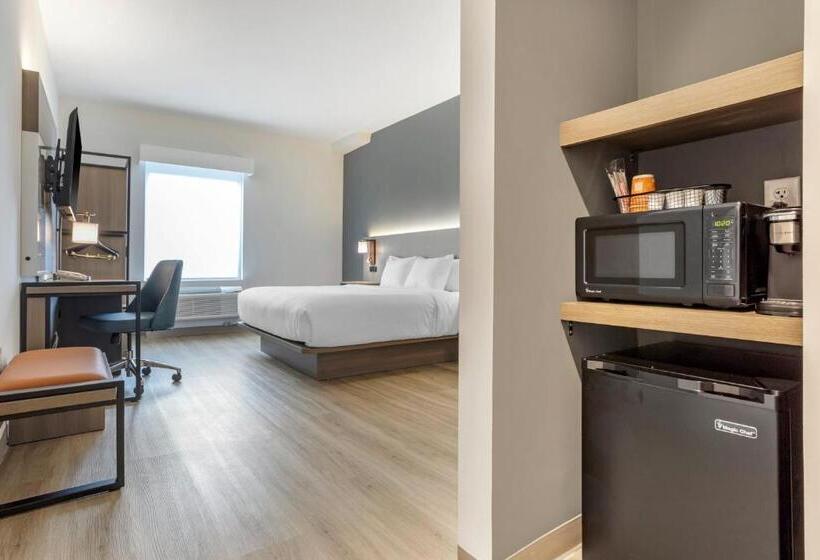 اتاق استاندارد با تخت بزرگ, Comfort Inn & Suites Newark Liberty International Airport