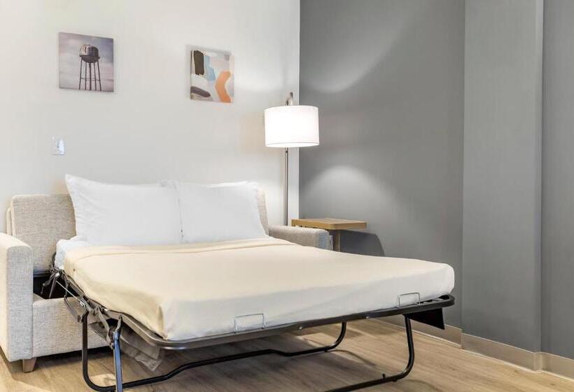 اتاق استاندارد با تخت بزرگ, Comfort Inn & Suites Newark Liberty International Airport