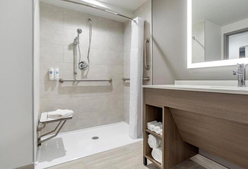 اتاق استاندارد با تخت بزرگ, Comfort Inn & Suites Newark Liberty International Airport