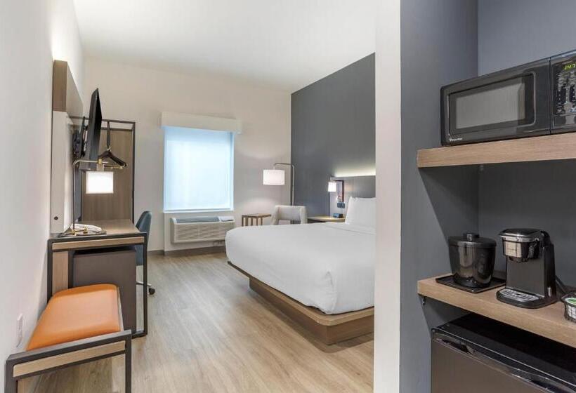 اتاق استاندارد با تخت بزرگ, Comfort Inn & Suites Newark Liberty International Airport