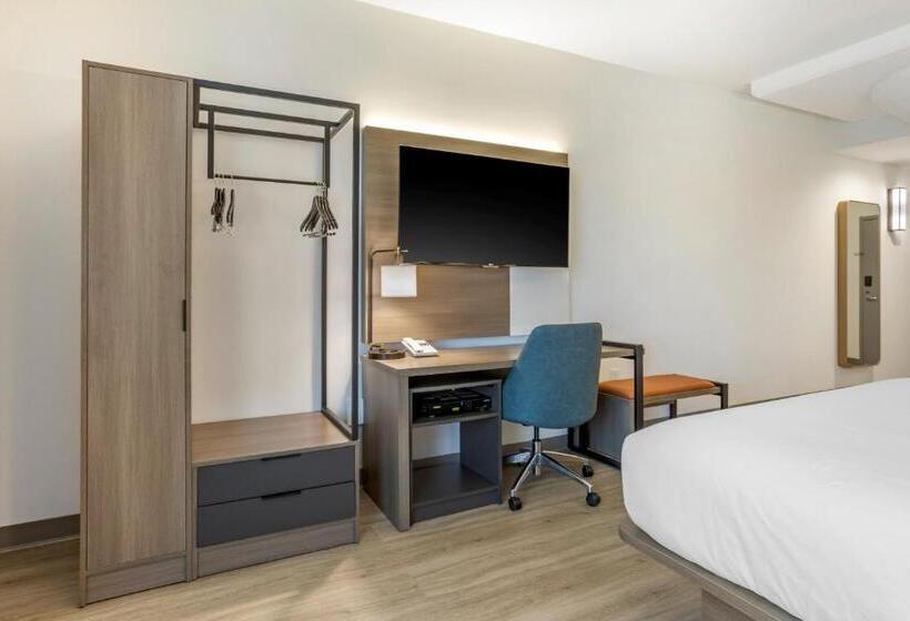 اتاق استاندارد با تخت بزرگ, Comfort Inn & Suites Newark Liberty International Airport