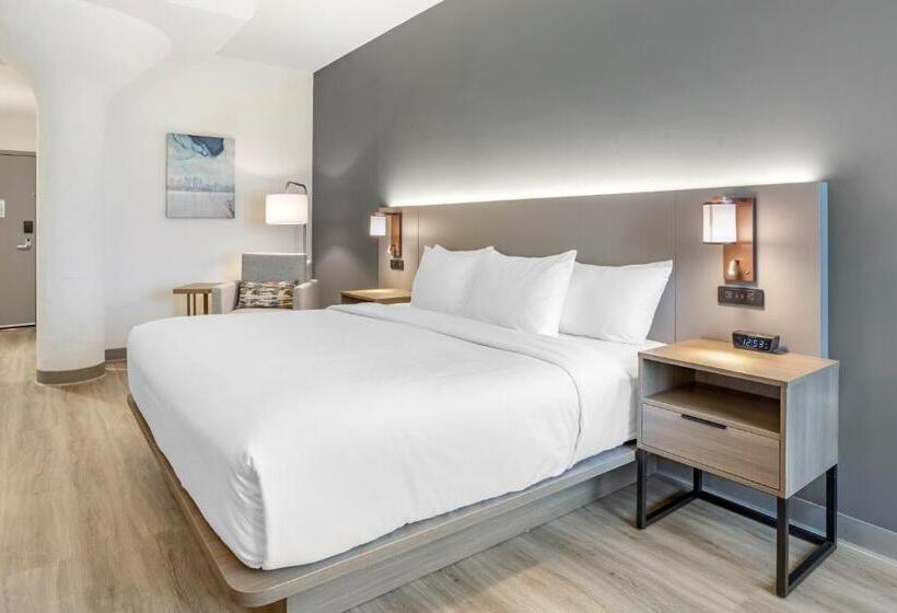 اتاق استاندارد با تخت بزرگ, Comfort Inn & Suites Newark Liberty International Airport