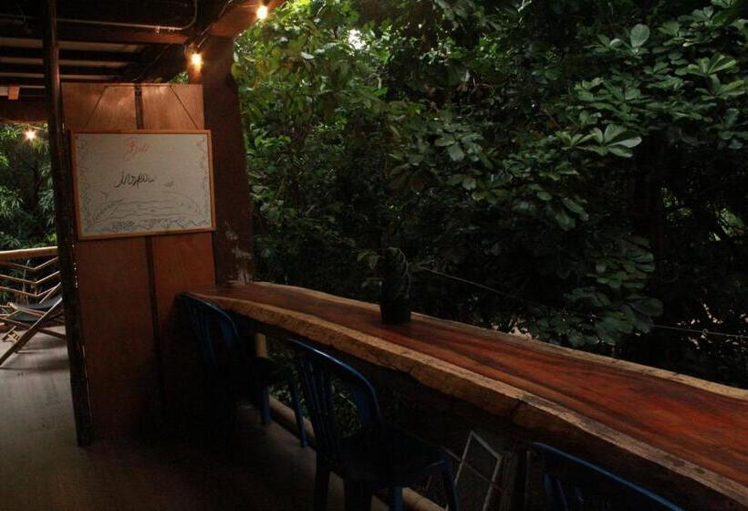 디럭스 룸, Bio Coliving Tayrona