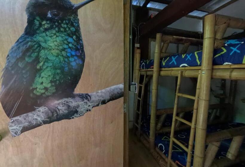 공동 객실, Bio Coliving Tayrona
