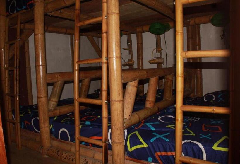 공동 객실, Bio Coliving Tayrona