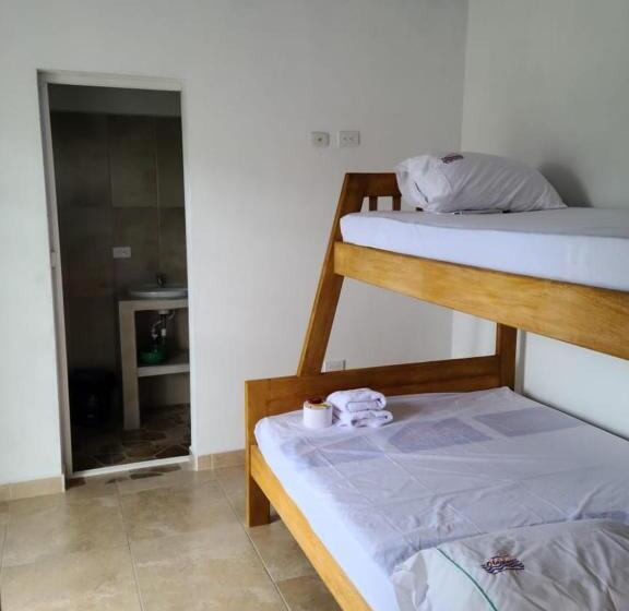 Четырехместный Номер Стандарт, Olamar Hostal