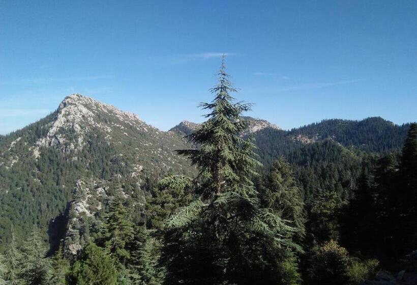 Семейный Номер, Gîte De Montagne Azilane