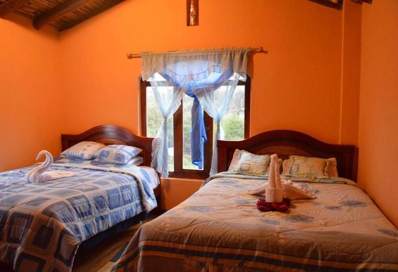 اتاق لوکس, Hostal Conejito