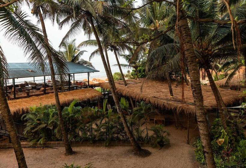 标准平房, Anahata Retreat Ashvem Goa