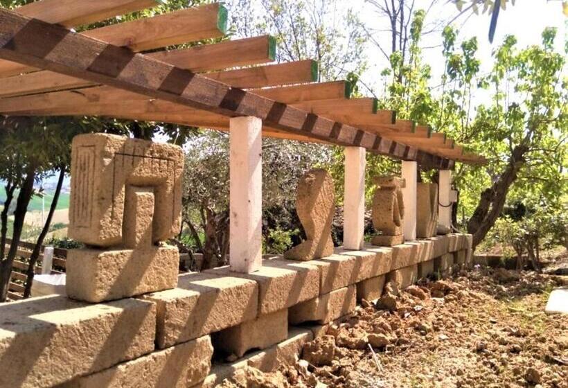 إستديو عائلى, Casale Barbagianni