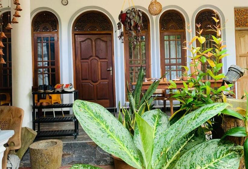 اتاق لوکس, Lucky Guest