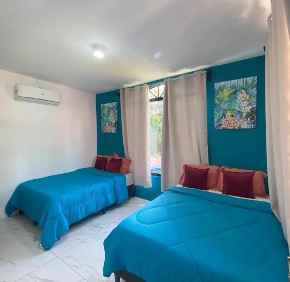 آپارتمان 1 خوابه با چشم‌انداز استخر, Bungalows Malú