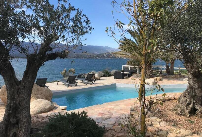 اتاق استاندارد, Maranatha, Location De Villas Pieds Dans L Eau