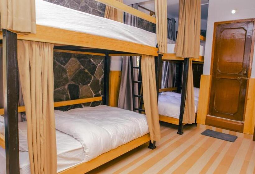 تختخواب در اتاق مشترک, Roamers Inn   Hostel