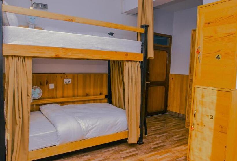 تختخواب در اتاق مشترک, Roamers Inn   Hostel