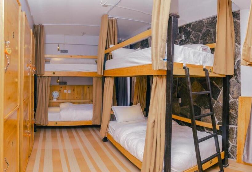 تختخواب در اتاق مشترک, Roamers Inn   Hostel
