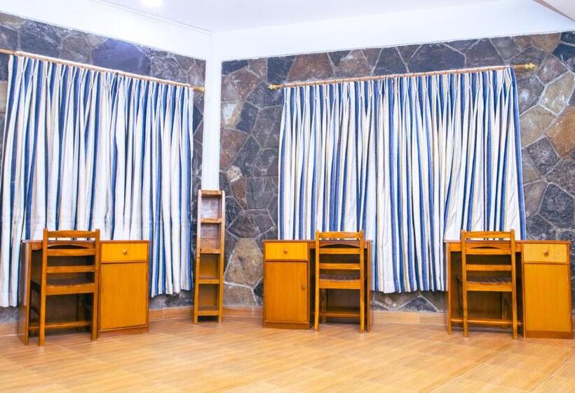 تختخواب در اتاق مشترک, Roamers Inn   Hostel