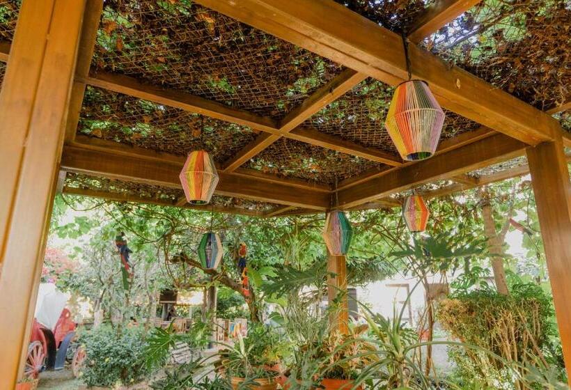 اتاق استاندارد, Rancho Regis