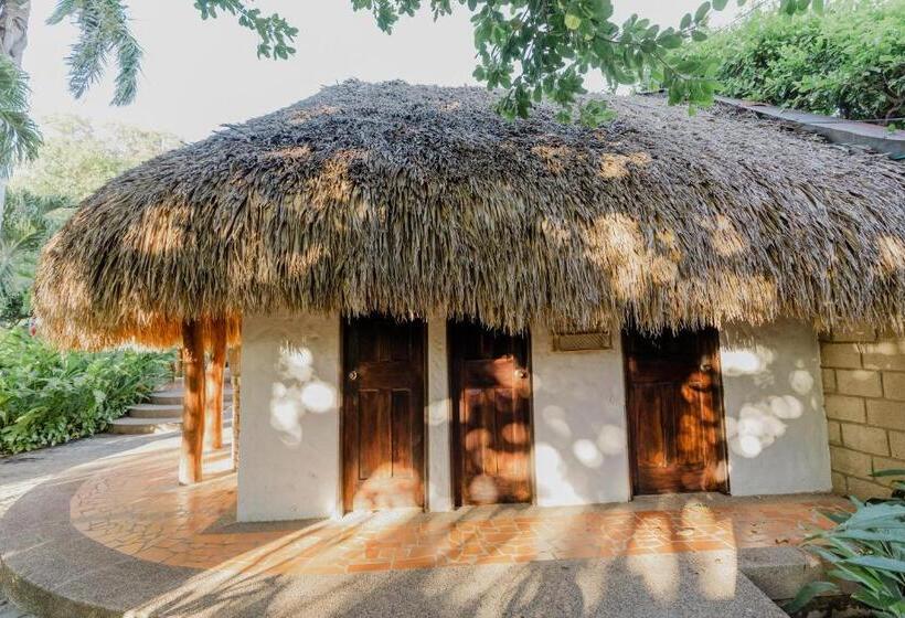 اتاق سوپریور سه تخته, Rancho Regis
