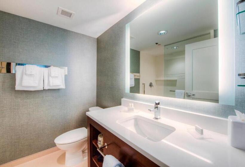带大床的标准工作室, Residence Inn By Marriott Charlotte Airport