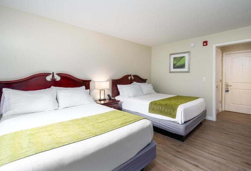 Номер Deluxe, Grey Bonnet Inn