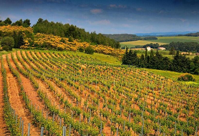 Номер Deluxe, O'vineyards B&b Carcassonne