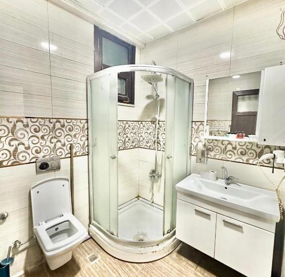 استودیو استاندارد با تخت کینگ, Sultanahmet Garden Apart