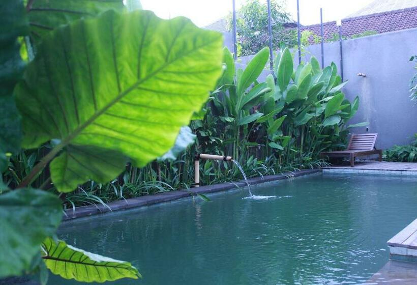 Вилла с 1 спальней и бассейном, Purana Boutique Resort