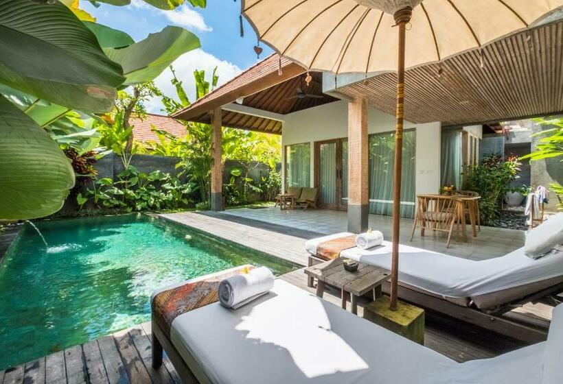Вилла с 1 спальней и бассейном, Purana Boutique Resort