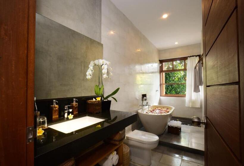 Люкс Повышенной Комфортности, Purana Boutique Resort