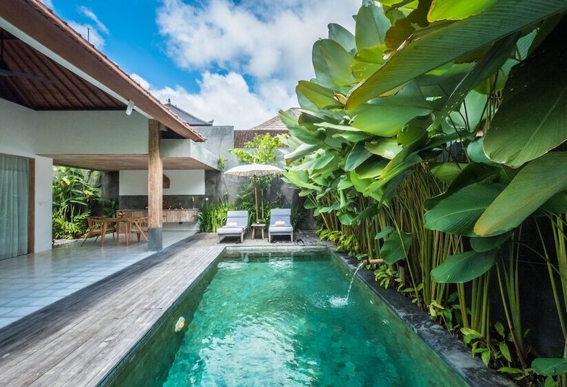 Вилла с 1 спальней и бассейном, Purana Boutique Resort