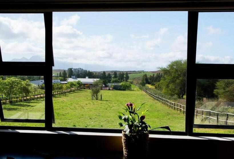 Номер Deluxe, Galloway Guest House