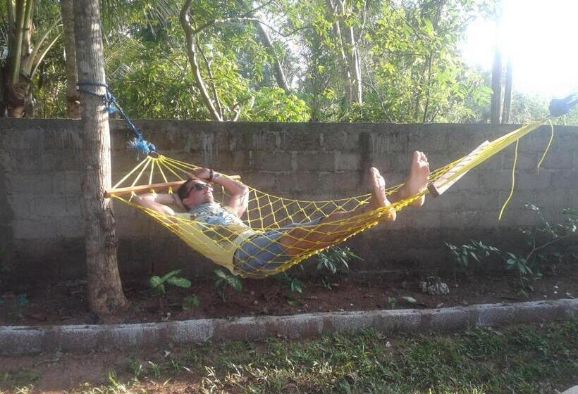اتاق اکونومی یک تخته, Elephant Safari Lodge Sigiriya Junction